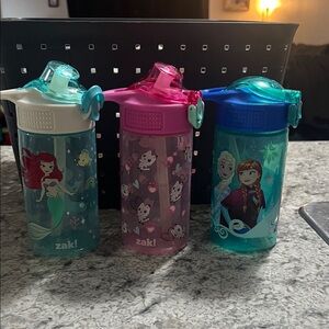 Zak! Kids Spout Water Bottle - Disney princess, Gabby Dollhouse, Frozen